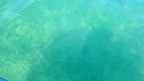Werbelinsee